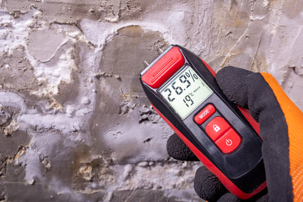 Best Mold Testing and Removal  in Hurstbourne Acres, KY